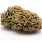 Шишки AK47  (Гидропоника, Бошка) VHQ в Шебекино